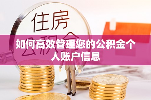 专家如何高效管理您的公积金个人账户信息