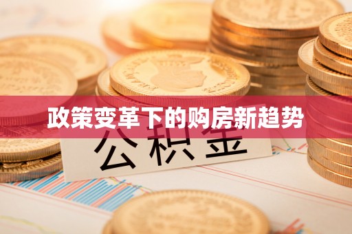 专家政策变革下的购房新趋势