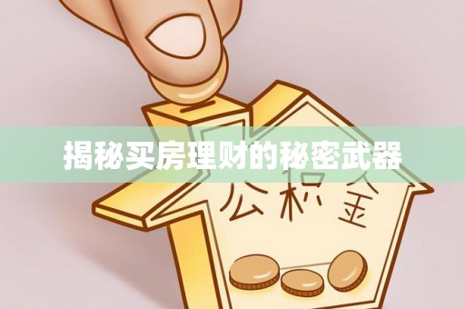 专家揭秘买房理财的秘密武器