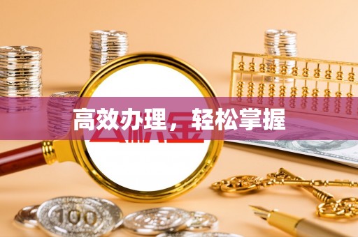 专家高效办理，轻松掌握