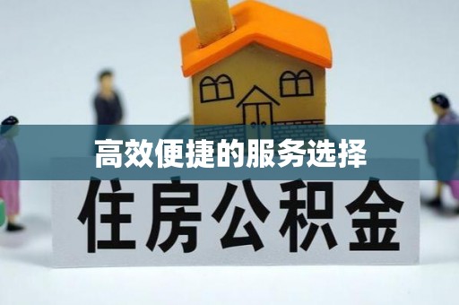 专家高效便捷的服务选择