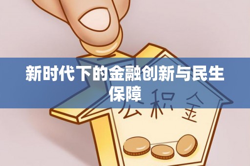 专家新时代下的金融创新与民生保障